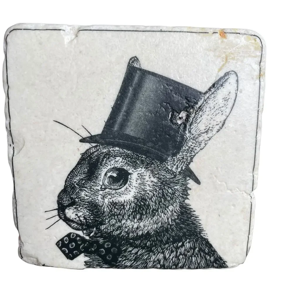 Anthropomorphic Animal Stone Tile Coasters Dog Cat Owl Rabbit Drawing Image READ